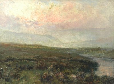 Moorlandschaft von Tom Clifton Butterfield